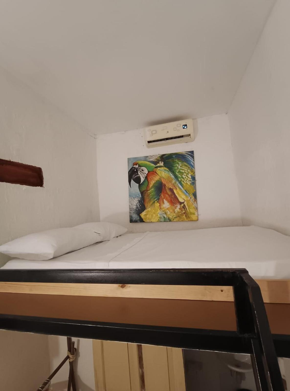 Lotus Central Hotel 산타마르타 외부 사진